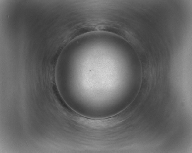 X0000055520030200508121055