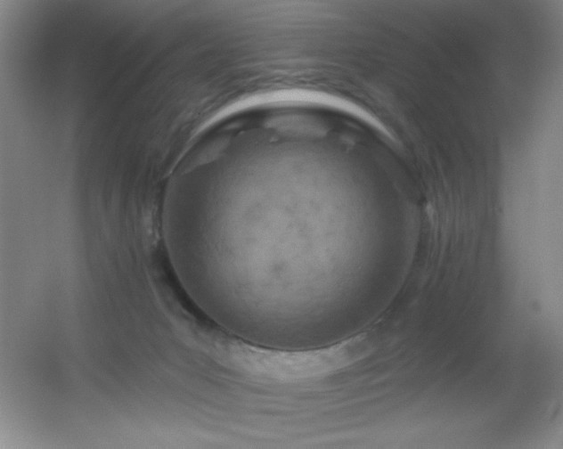 X0000055520031200508121055