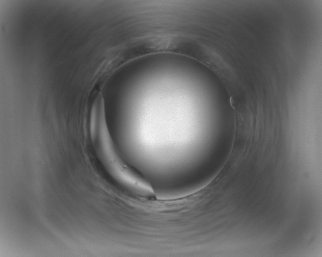 X0000055520035200508121055