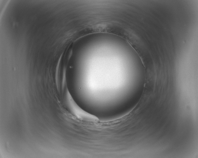 X0000055520037200508121055