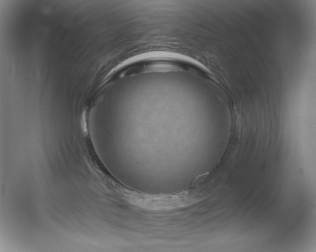 X0000055520042200508121055