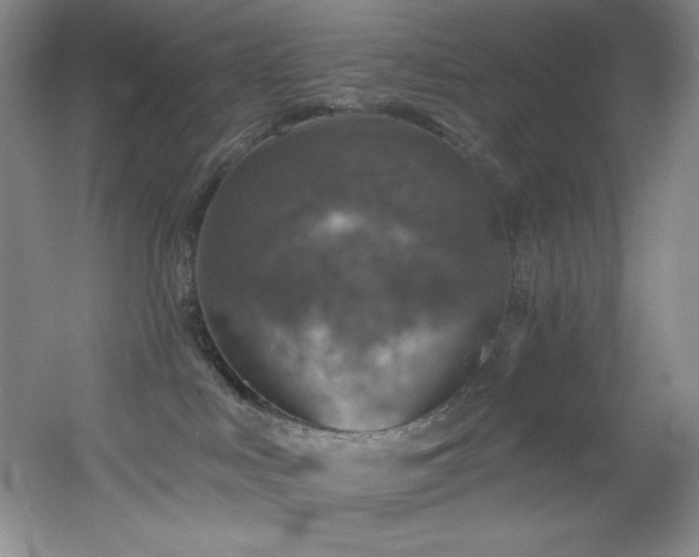 X0000055520043200508121055