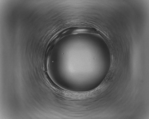 X0000055520048200508121055
