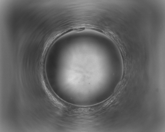 X0000055520049200508121054