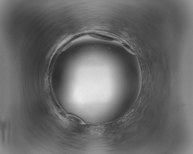 X0000055520050200508121054
