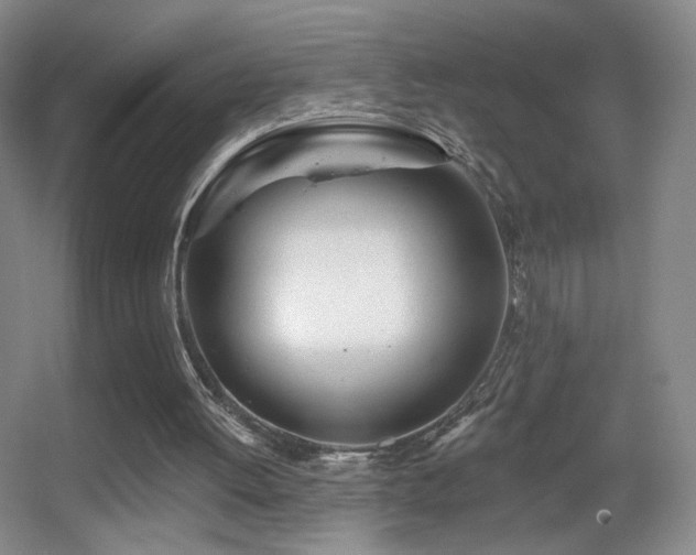 X0000055520052200508121054