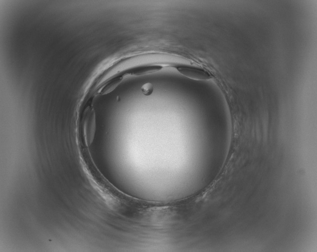 X0000055520054200508121054