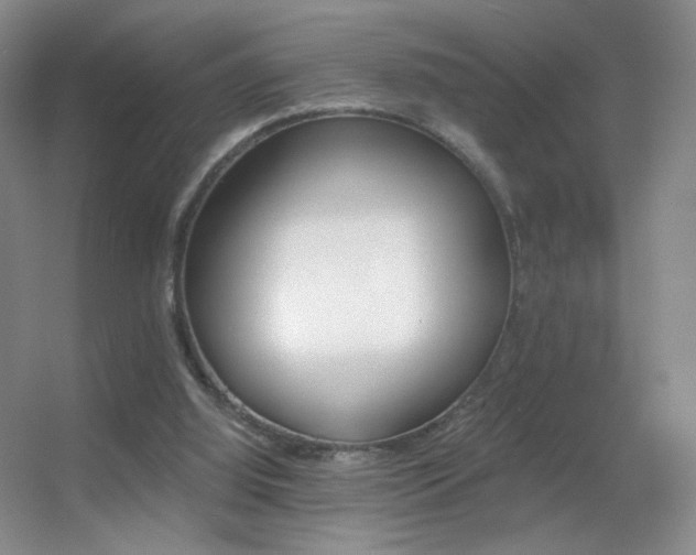 X0000055520060200508121054