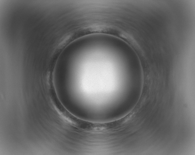 X0000055520066200508121054