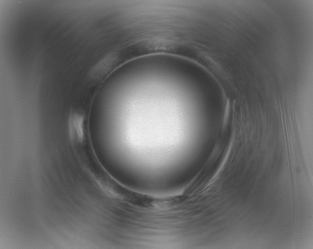 X0000055520070200508121054