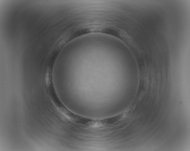 X0000055520074200508121054