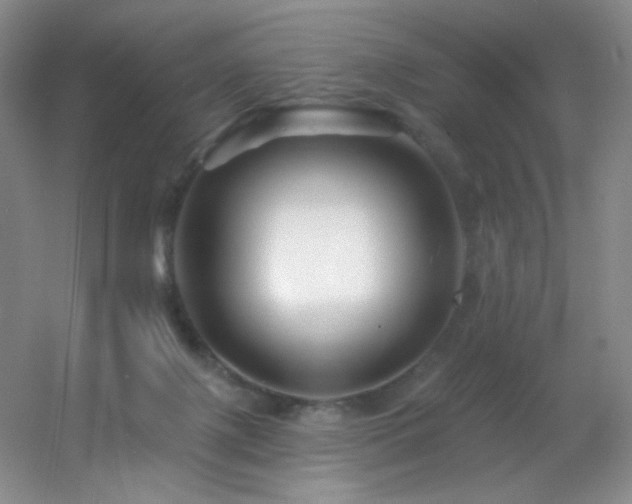 X0000055520075200508121054