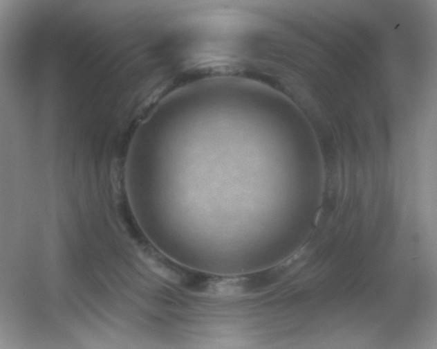 X0000055520078200508121054