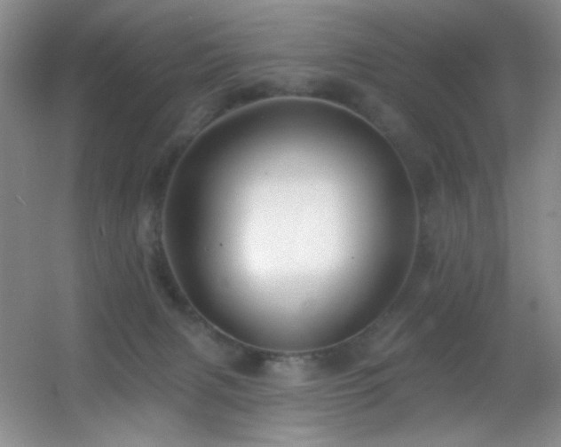 X0000055520079200508121054