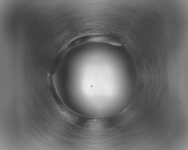 X0000055520082200508121054