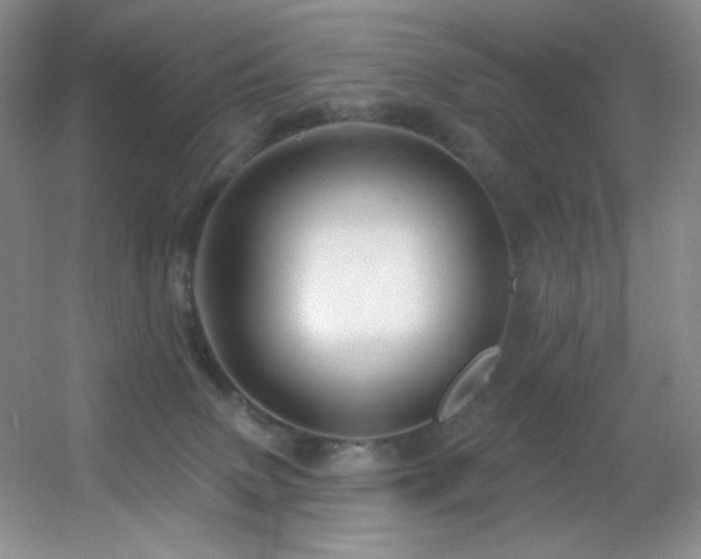 X0000055520083200508121054