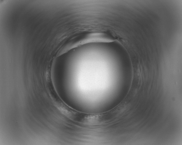 X0000055520084200508121054