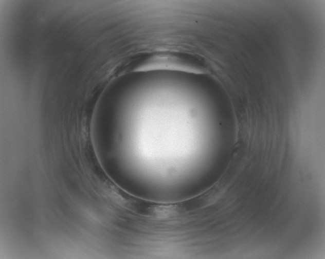 X0000055520085200508121054