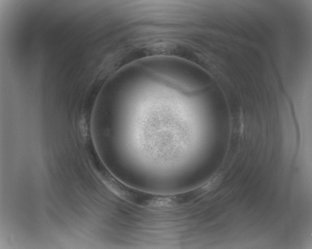 X0000055520086200508121054