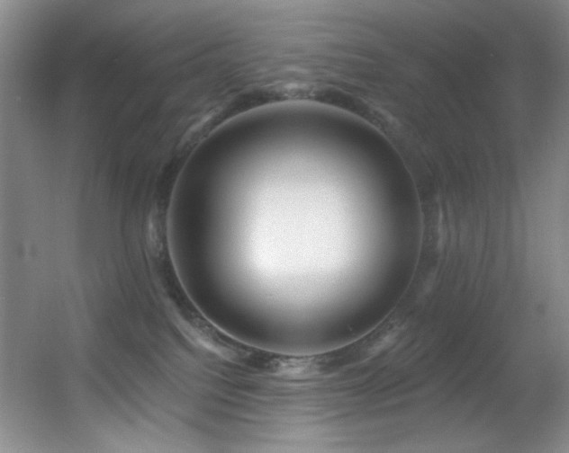 X0000055520088200508121054