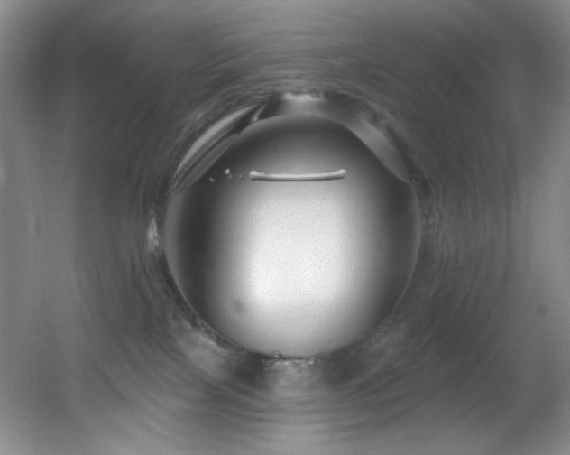 X0000055520089200508121054