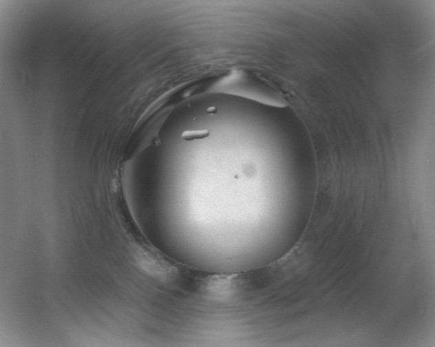 X0000055520090200508121054