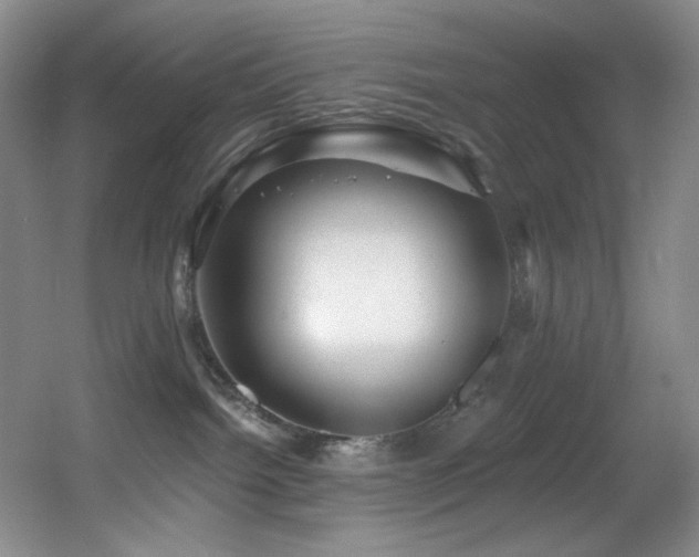 X0000055520092200508121054