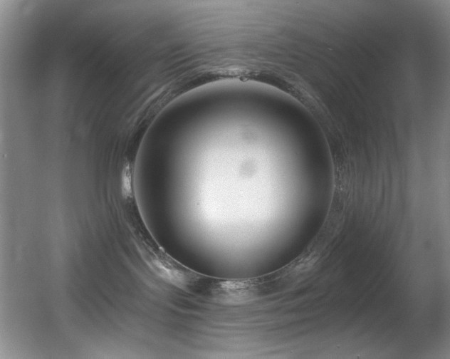 X0000055520095200508121055