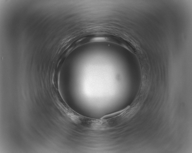 X0000055520096200508121055