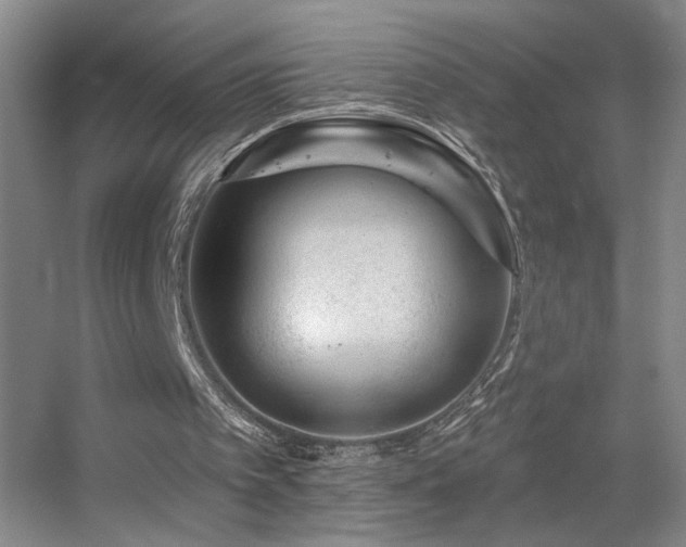 X0000055520097200508121054