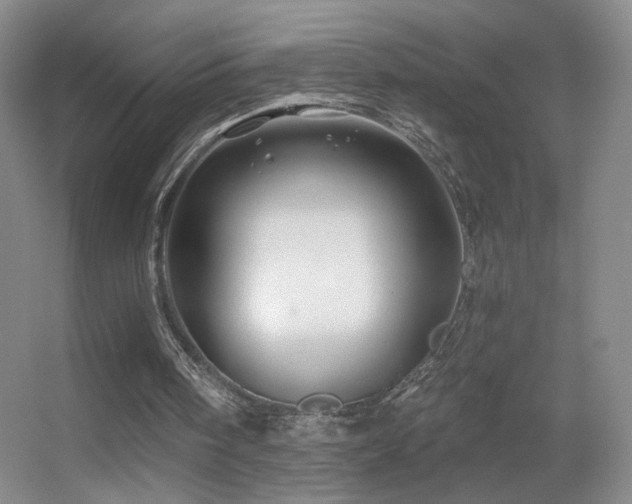 X0000055520098200508121054