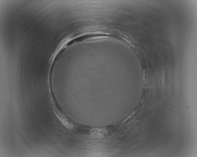 X0000055520099200508121054