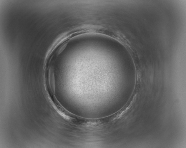 X0000055520101200508121054