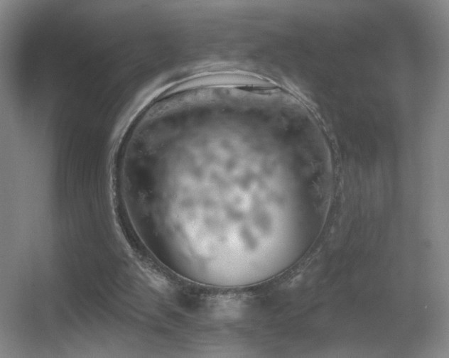 X0000055520103200508121054