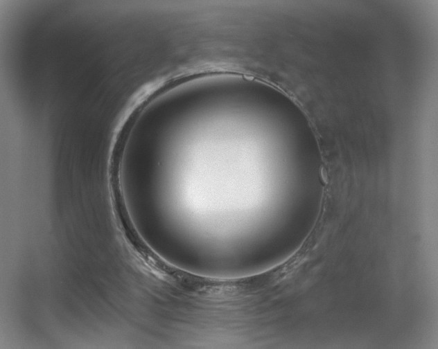 X0000055520104200508121054