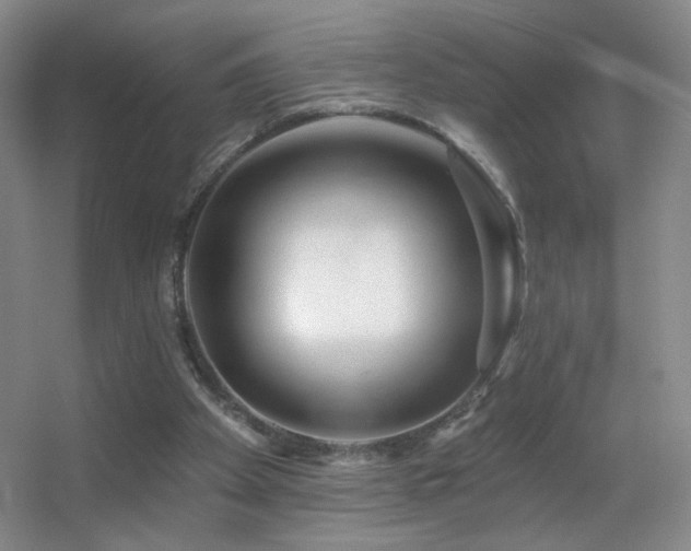 X0000055520105200508121054