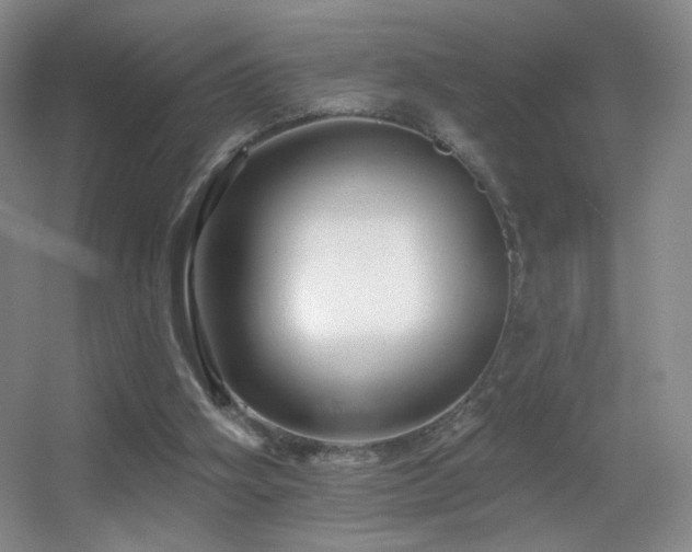 X0000055520106200508121054