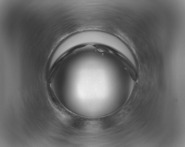 X0000055520107200508121054