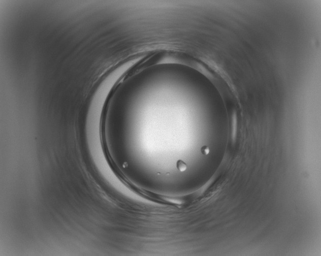 X0000055520109200508121054