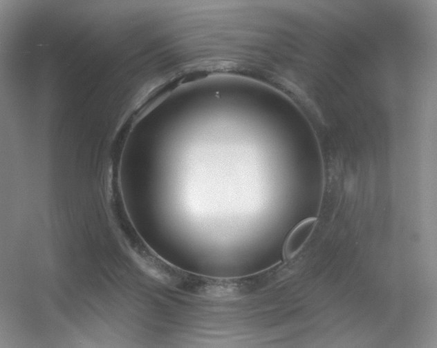 X0000055520110200508121054