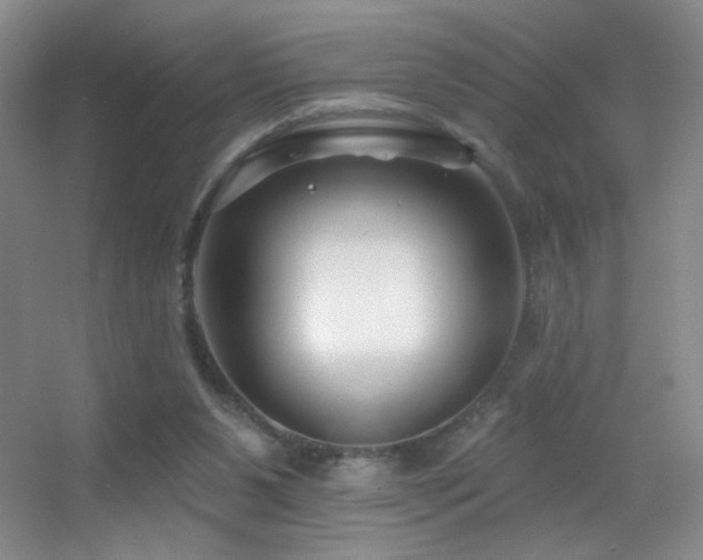 X0000055520111200508121053