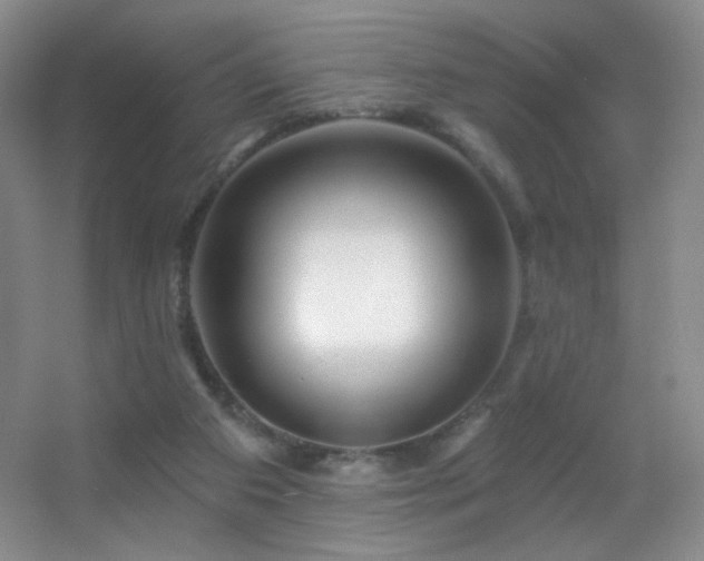 X0000055520113200508121053