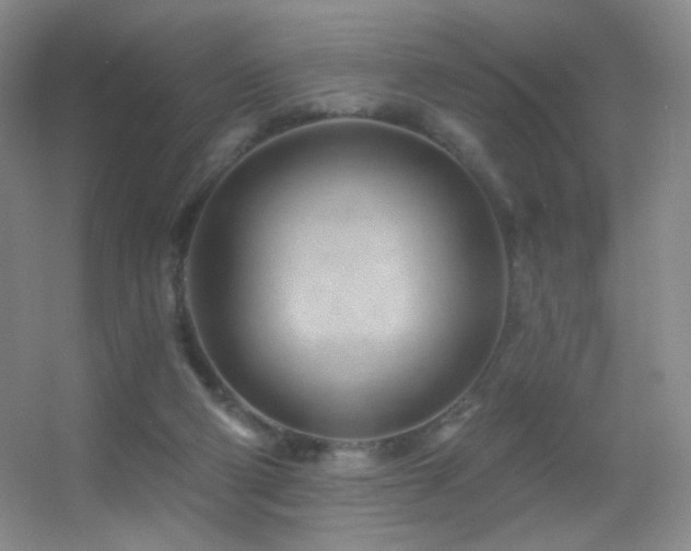 X0000055520114200508121053