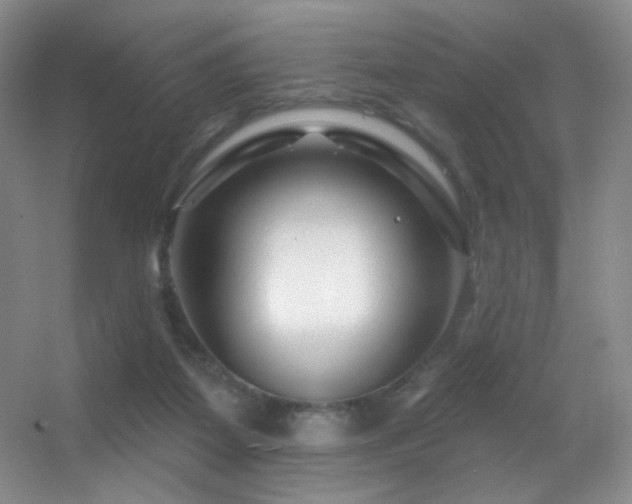 X0000055520115200508121053