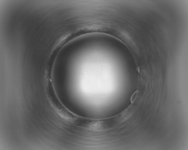 X0000055520116200508121053