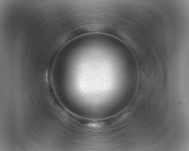 X0000055520117200508121053