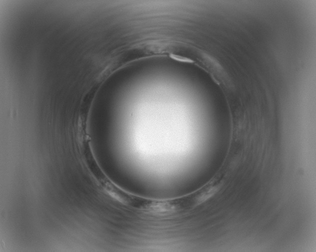 X0000055520121200508121053