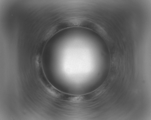 X0000055520122200508121053