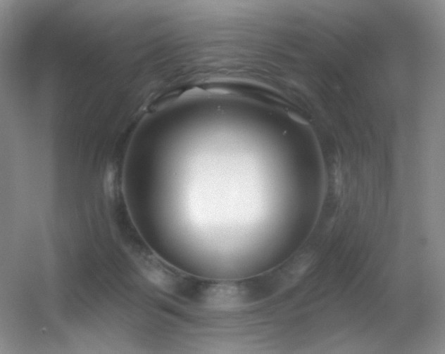 X0000055520123200508121053