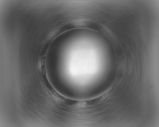 X0000055520124200508121053